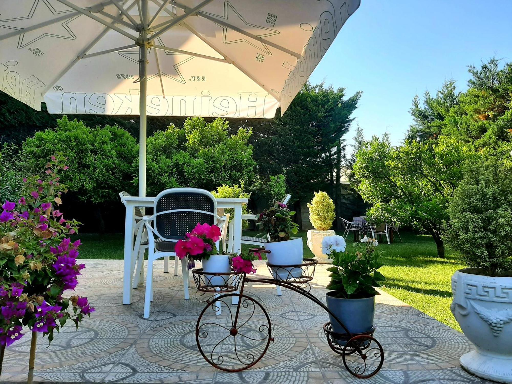 Hotel Vila Arbri Berat Bagian luar foto
